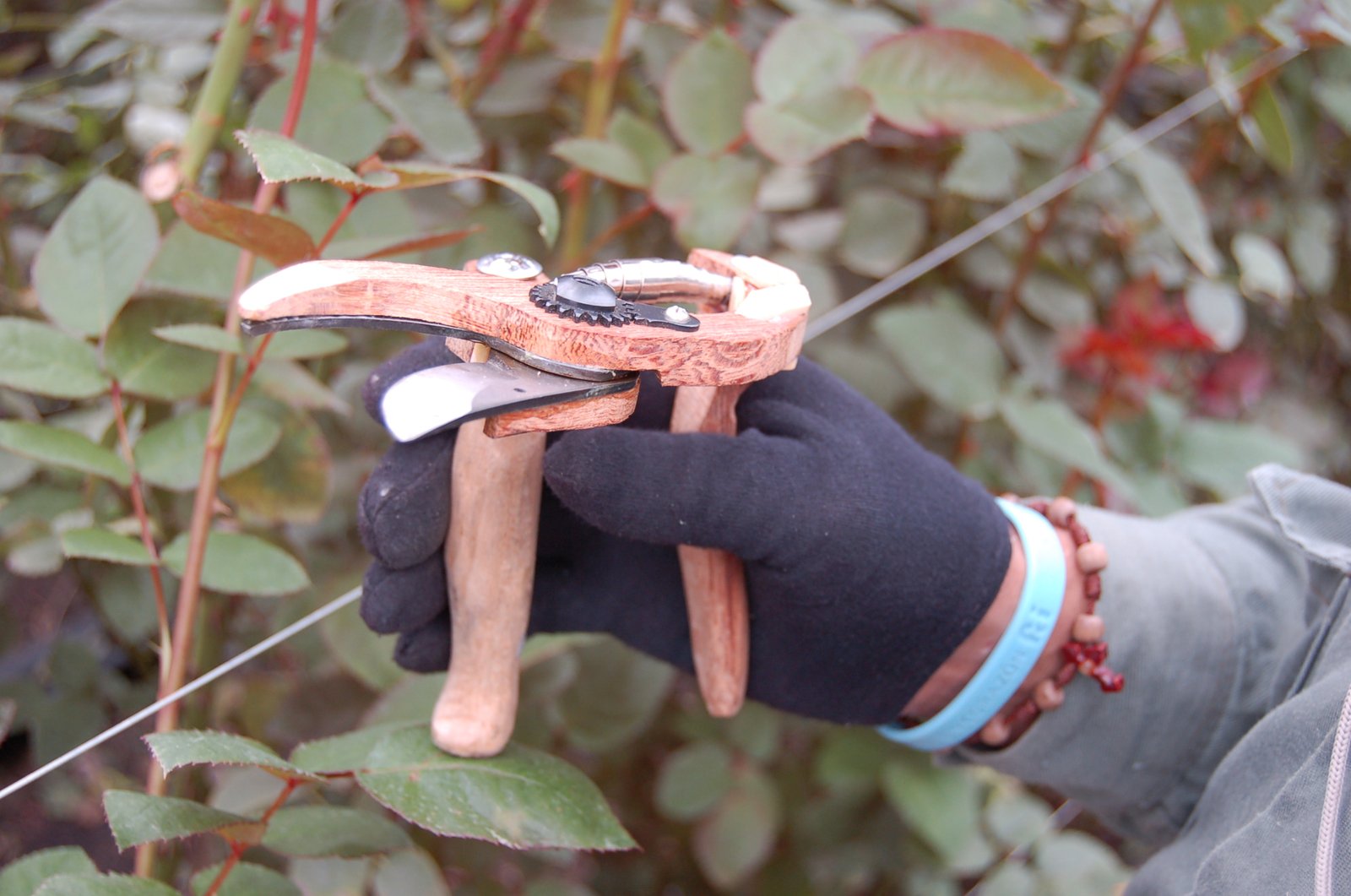 Floricultivo — Ergonomía Agroindustrial